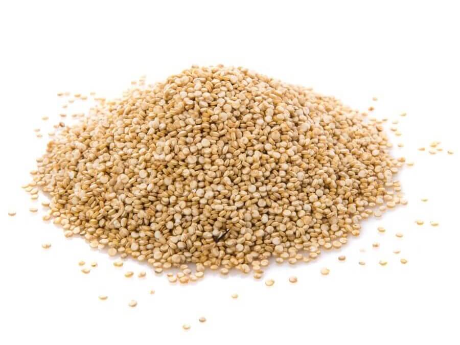 Sorghum